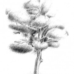 strom_1